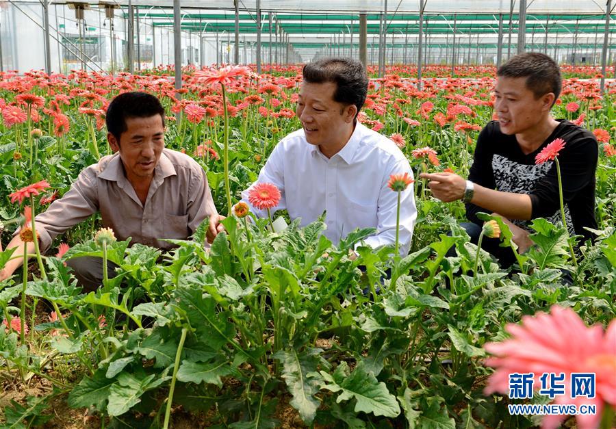 （新華全媒頭條·愛國情 奮斗者·圖文互動）（8）致敬，為祖國獻(xiàn)身的英雄！