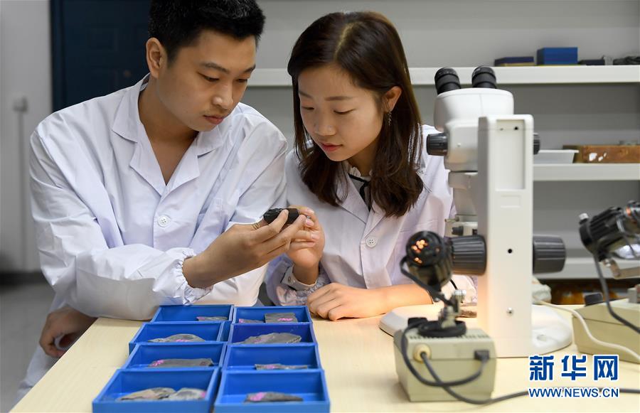 （新華全媒頭條&middot;圖文互動(dòng)）（5）探尋5億年前&ldquo;生命大爆炸&rdquo;之奧秘&mdash;&mdash;中國科學(xué)家發(fā)現(xiàn)寒武紀(jì)&ldquo;化石寶庫&rdquo;清江生物群紀(jì)實(shí)