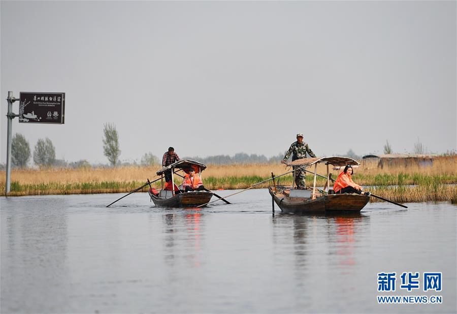 （壯麗70年&middot;奮斗新時代&middot;圖文互動）（6）從革命老區(qū)到雄安新區(qū) 白洋淀迎來新生
