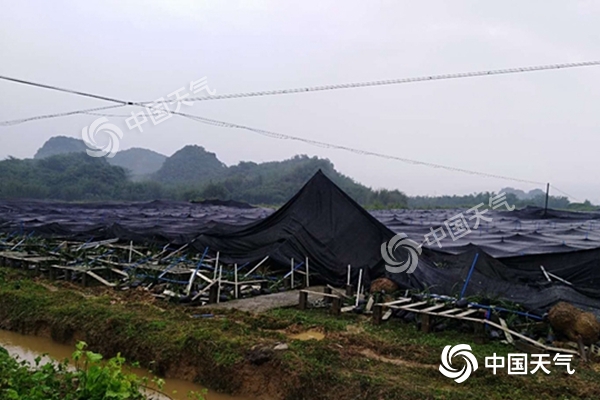 周末雨不休！南北方同迎大范圍降水