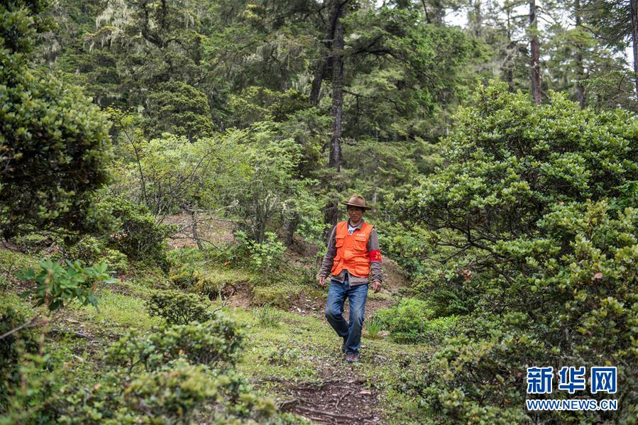 (新華全媒頭條·北京世園會(huì)·圖文互動(dòng))(13)建設(shè)美麗中國 共筑綠色家園——寫在2019年中國北京世界園藝博覽會(huì)開幕之際