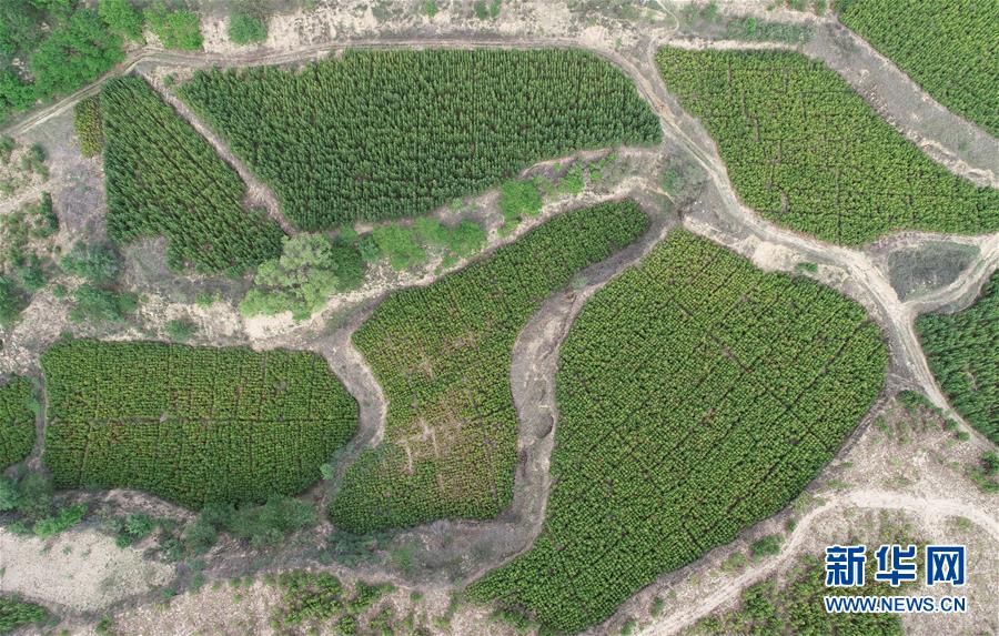 （新華全媒頭條&middot;北京世園會(huì)&middot;圖文互動(dòng)）（8）共繪人類生態(tài)文明美麗畫卷&mdash;&mdash;從北京世園會(huì)看中國綠色發(fā)展的&ldquo;世界貢獻(xiàn)&rdquo;