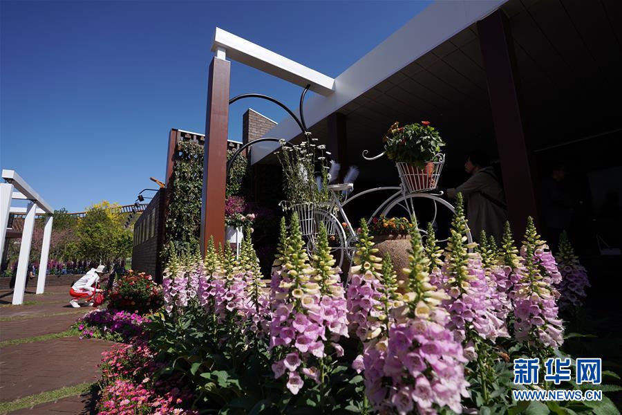 （北京世園會）（2）北京世園會迎來&ldquo;天津日&rdquo;