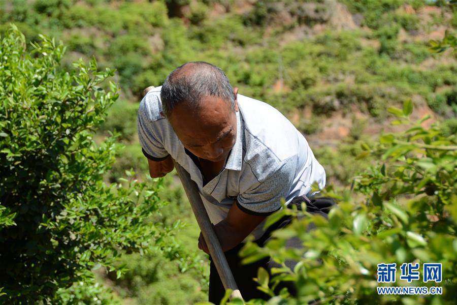 (壯麗70年&middot;奮斗新時代&middot;圖文互動）（1）福建長?。簱Q顏&ldquo;山光水濁&rdquo; 永駐綠水青山