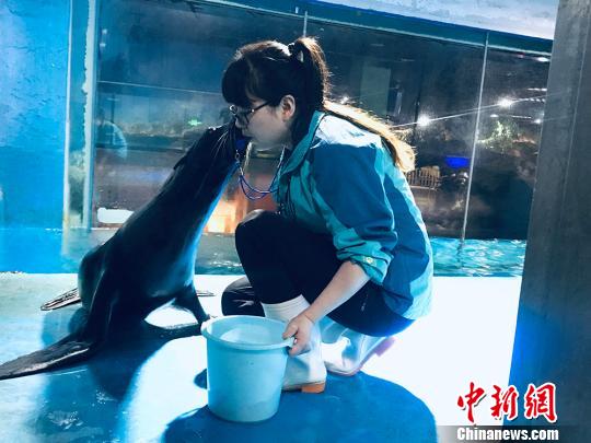 于雅麗與海獅親密瞬間?！“瑧c龍 攝