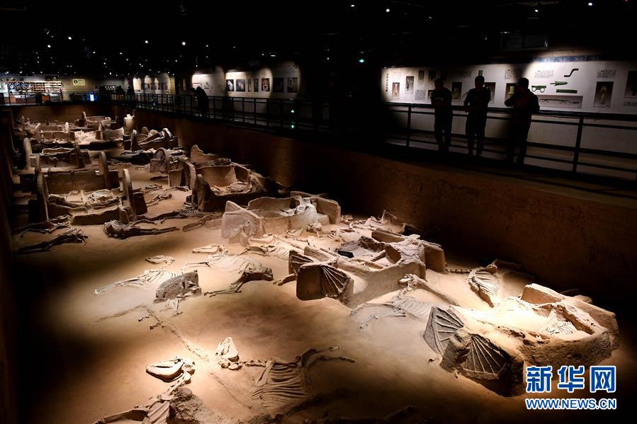 （新華全媒頭條&middot;圖文互動(dòng)）（4）&ldquo;若問古今興廢事，請君只看洛陽城&rdquo;&mdash;&mdash;千年古都&ldquo;烹制&rdquo;博物館盛宴