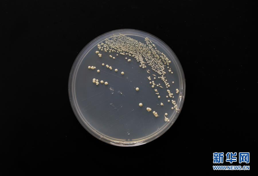 （新華全媒頭條&middot;圖文互動）（6）&ldquo;兩個一公里&rdquo;的創(chuàng)新答案&mdash;&mdash;上海全力建設全球科創(chuàng)中心紀實