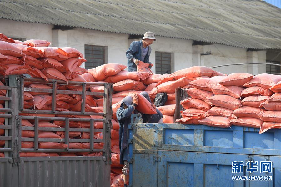 （在習(xí)近平新時(shí)代中國特色社會(huì)主義思想指引下&mdash;&mdash;新時(shí)代新作為新篇章&middot;圖文互動(dòng)）（1）云南省陸良縣：農(nóng)民給供銷社打&ldquo;白條&rdquo; 