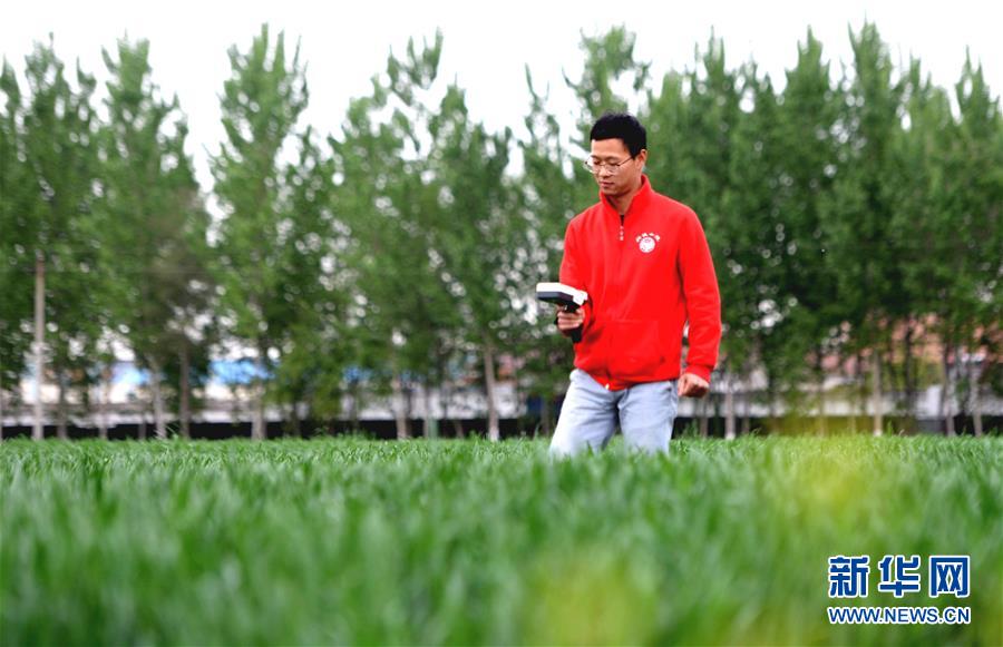（新華全媒頭條&middot;愛國情 奮斗者&middot;圖文互動）（5）把論文寫在祖國的大地上&mdash;&mdash;中國農業(yè)大學46年扎根河北曲周服務鄉(xiāng)村振興紀實