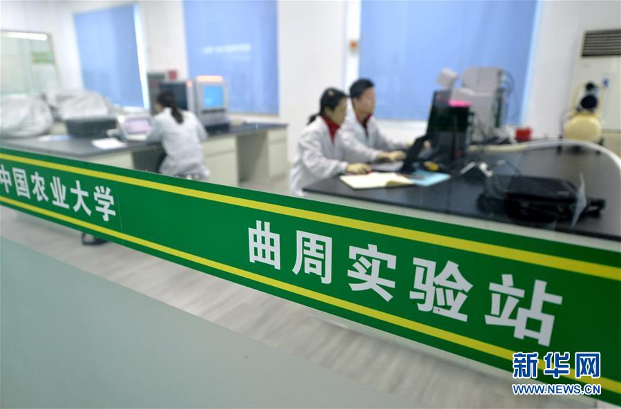 （新華全媒頭條&middot;愛國情 奮斗者&middot;圖文互動）（10）把論文寫在祖國的大地上&mdash;&mdash;中國農業(yè)大學46年扎根河北曲周服務鄉(xiāng)村振興紀實