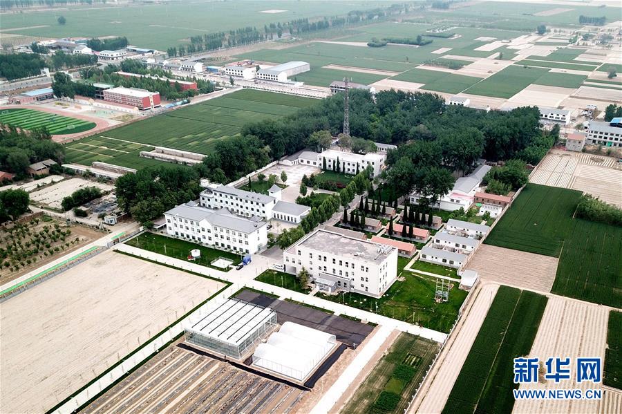 （新華全媒頭條&middot;愛國情 奮斗者&middot;圖文互動）（12）把論文寫在祖國的大地上&mdash;&mdash;中國農業(yè)大學46年扎根河北曲周服務鄉(xiāng)村振興紀實