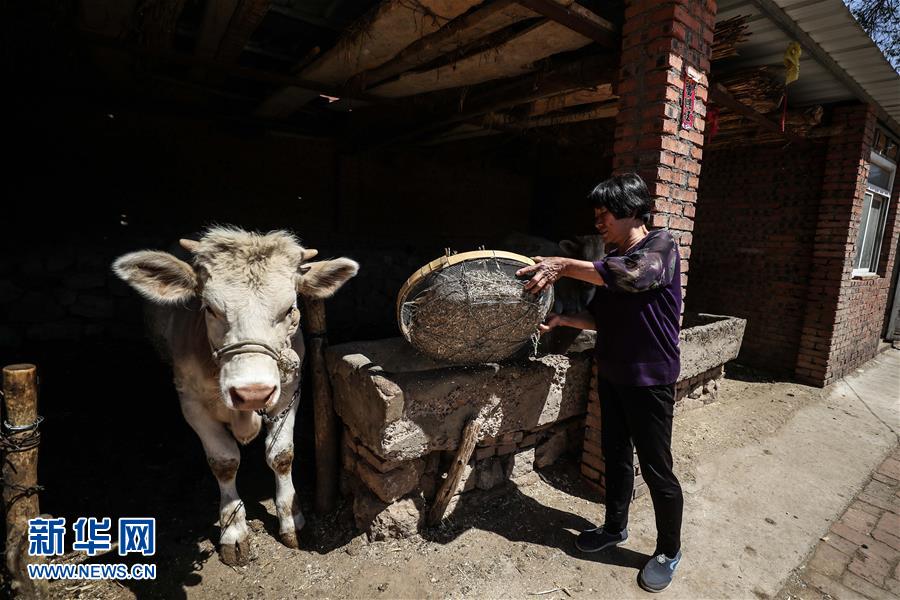 （圖文互動）（2）一條38年的生命通道：媽媽會一直把你當(dāng)作&ldquo;雛鳥&rdquo;