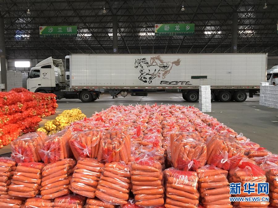 （在習近平新時代中國特色社會主義思想指引下&mdash;&mdash;新時代新作為新篇章&middot;圖文互動）（1）牡丹江：小果蔬透著三種&ldquo;范兒&rdquo;