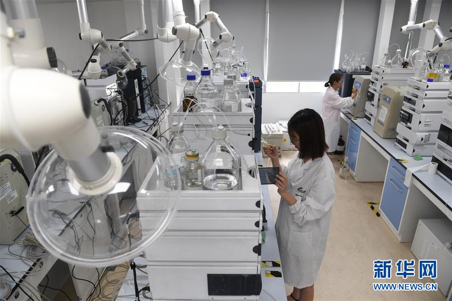 （新華全媒頭條&middot;中國經(jīng)濟(jì)基層行&middot;圖文互動）（6）看！這就是中國經(jīng)濟(jì)的信心&mdash;&mdash;當(dāng)前中國經(jīng)濟(jì)觀察之一