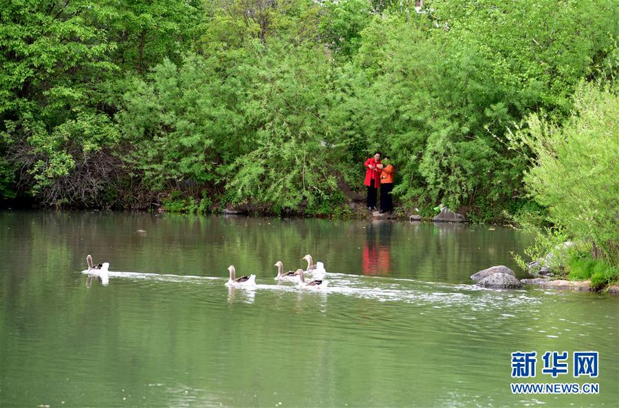 （在習(xí)近平新時代中國特色社會主義思想指引下&mdash;&mdash;新時代新作為新篇章&middot;圖文互動）（4）在這里，遇見&ldquo;詩和遠(yuǎn)方&rdquo;&mdash;&mdash;長白山下&ldquo;第一鎮(zhèn)&rdquo;的全域旅游實(shí)踐