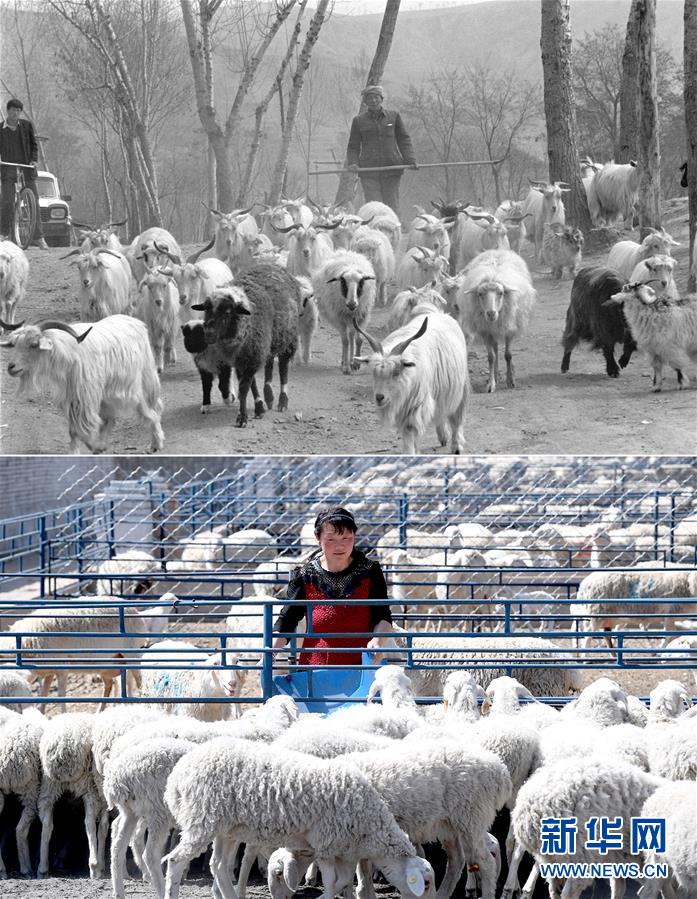 （新華全媒頭條&middot;圖文互動）（4）不忘初心使命 永立時代潮頭&mdash;&mdash;寫在中國共產(chǎn)黨成立98周年之際