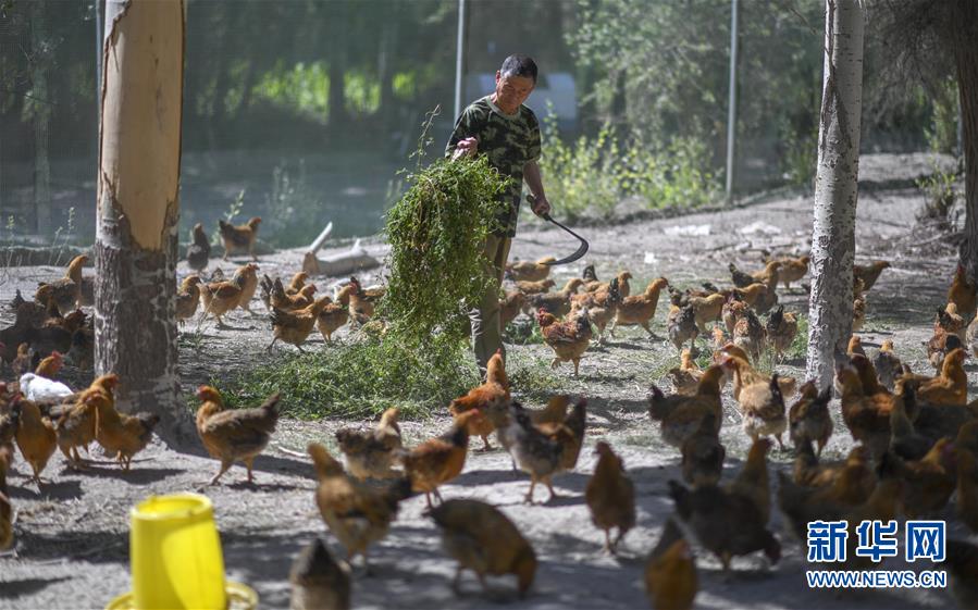 （新華全媒頭條&middot;圖文互動(dòng)）（6）同心援疆，&ldquo;壯闊&rdquo;祖國(guó)西北角