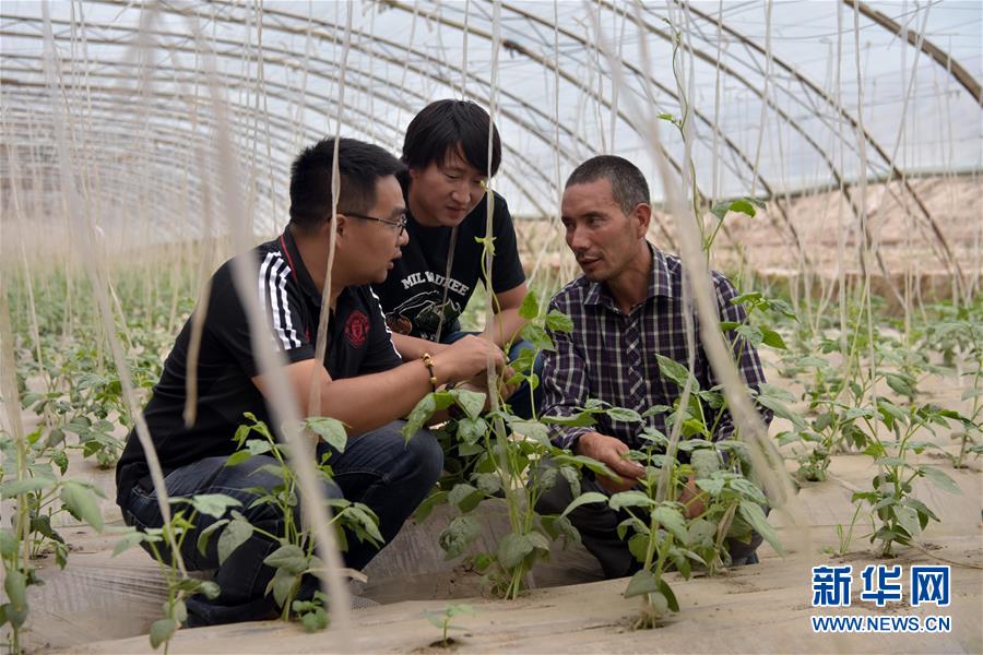 （新華全媒頭條&middot;圖文互動(dòng)）（10）同心援疆，&ldquo;壯闊&rdquo;祖國(guó)西北角