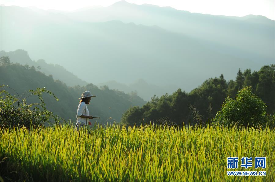 （新華全媒頭條&middot;圖文互動(dòng)）（9）咱們村里的年輕人&mdash;&mdash;記奮戰(zhàn)在貴州脫貧攻堅(jiān)一線(xiàn)的青年