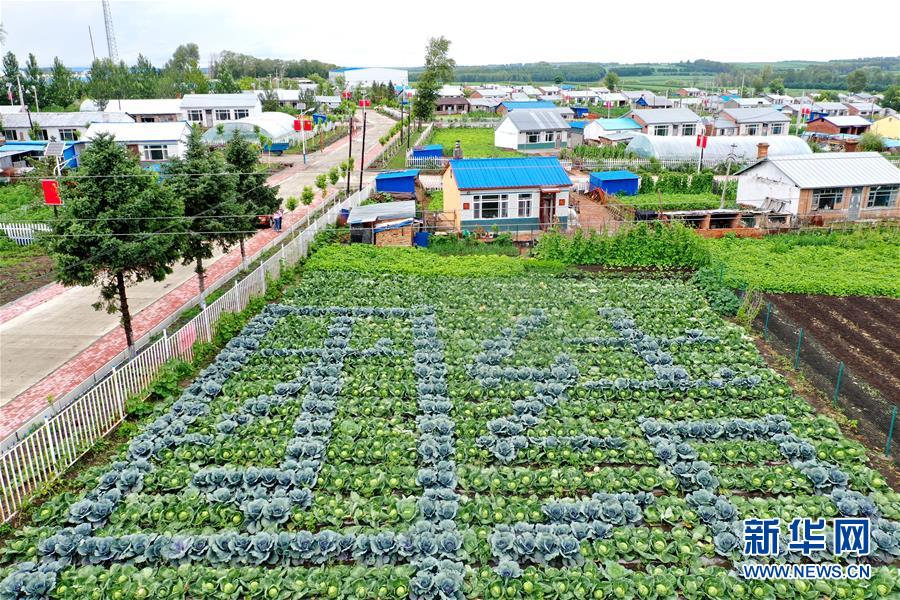 （圖文互動）（1）（在習近平新時代中國特色社會主義思想指引下&mdash;&mdash;新時代新作為新篇章）&ldquo;團結(jié)&rdquo;振興團結(jié)村&mdash;&mdash;黑龍江拜泉縣團結(jié)村凝聚民心攻堅脫貧