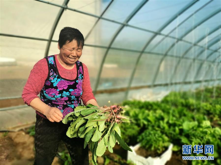 （圖文互動）（3）（在習近平新時代中國特色社會主義思想指引下&mdash;&mdash;新時代新作為新篇章）&ldquo;團結(jié)&rdquo;振興團結(jié)村&mdash;&mdash;黑龍江拜泉縣團結(jié)村凝聚民心攻堅脫貧