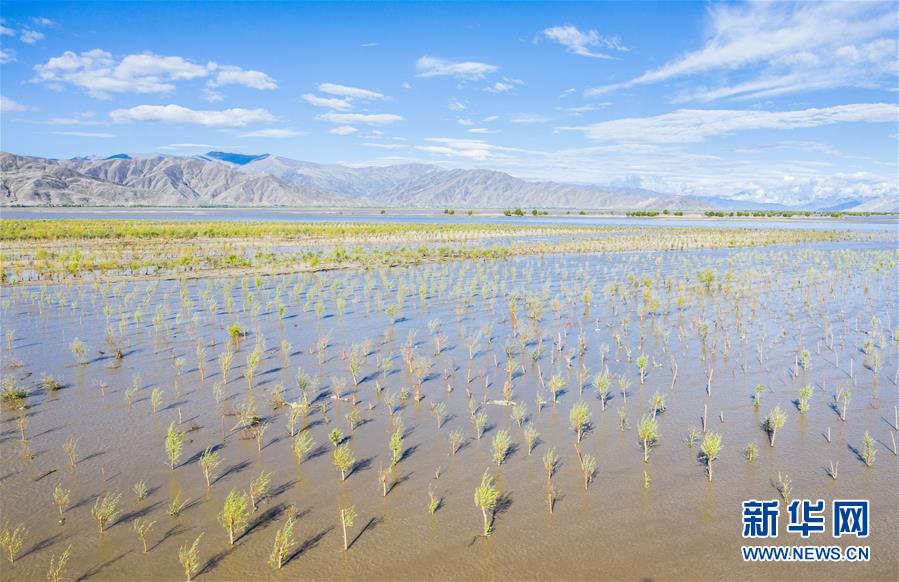 （壯麗70年&middot;奮斗新時代&mdash;&mdash;共和國發(fā)展成就巡禮&middot;圖文互動）（9）人間奇跡在高原&mdash;&mdash;新中國成立70年西藏發(fā)展成就紀(jì)實(shí)