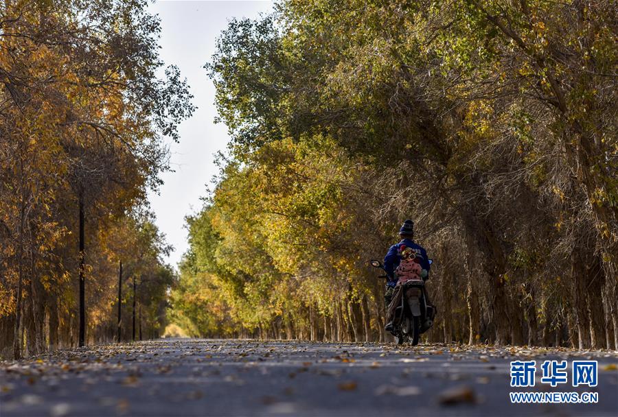 (壯麗70年·奮斗新時代——共和國發(fā)展成就巡禮·圖文互動)(2)鑄劍為犁造綠洲 安邊固疆筑“長城”——新疆生產(chǎn)建設(shè)兵團維穩(wěn)戍邊改革發(fā)展紀實