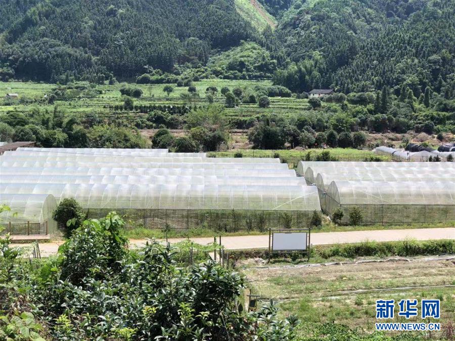 （脫貧攻堅(jiān)&middot;圖文互動）（2）貧困戶成了致富帶頭人