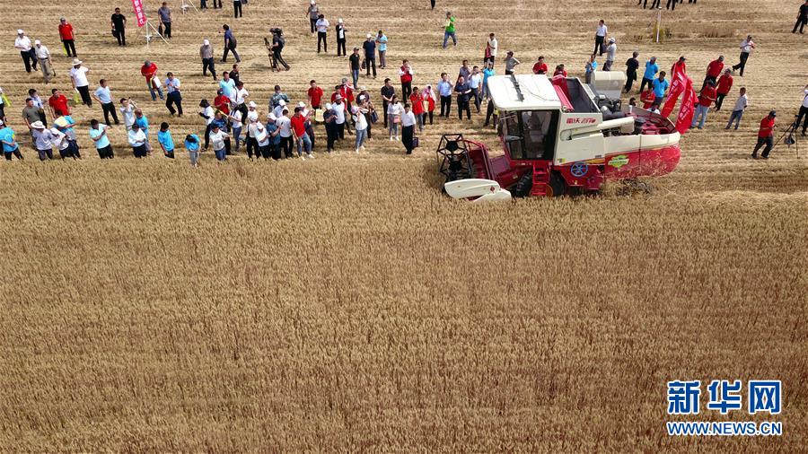 （壯麗70年&middot;奮斗新時代&mdash;&mdash;共和國發(fā)展成就巡禮）（3）看今朝齊風(fēng)魯韻　七十載芳華正勁&mdash;&mdash;新中國成立以來山東領(lǐng)先發(fā)展紀(jì)實