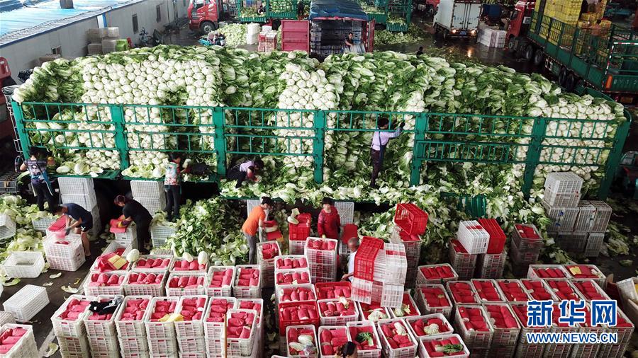 （壯麗70年&middot;奮斗新時代&mdash;&mdash;共和國發(fā)展成就巡禮）（5）看今朝齊風(fēng)魯韻　七十載芳華正勁&mdash;&mdash;新中國成立以來山東領(lǐng)先發(fā)展紀(jì)實