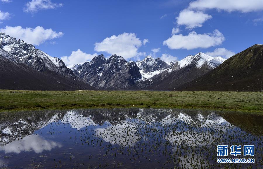 （今日關注&middot;第一屆國家公園論壇&middot;圖文互動）（6）首個國家公園什么樣？專家?guī)阆?ldquo;睹&rdquo;為快