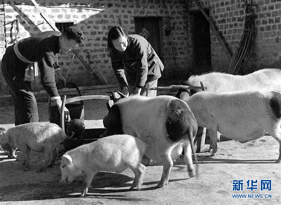 （紅土地&ldquo;往事新說&rdquo;&middot;圖文互動(dòng)）（5）萬里征途為初心　夫妻接力踐使命