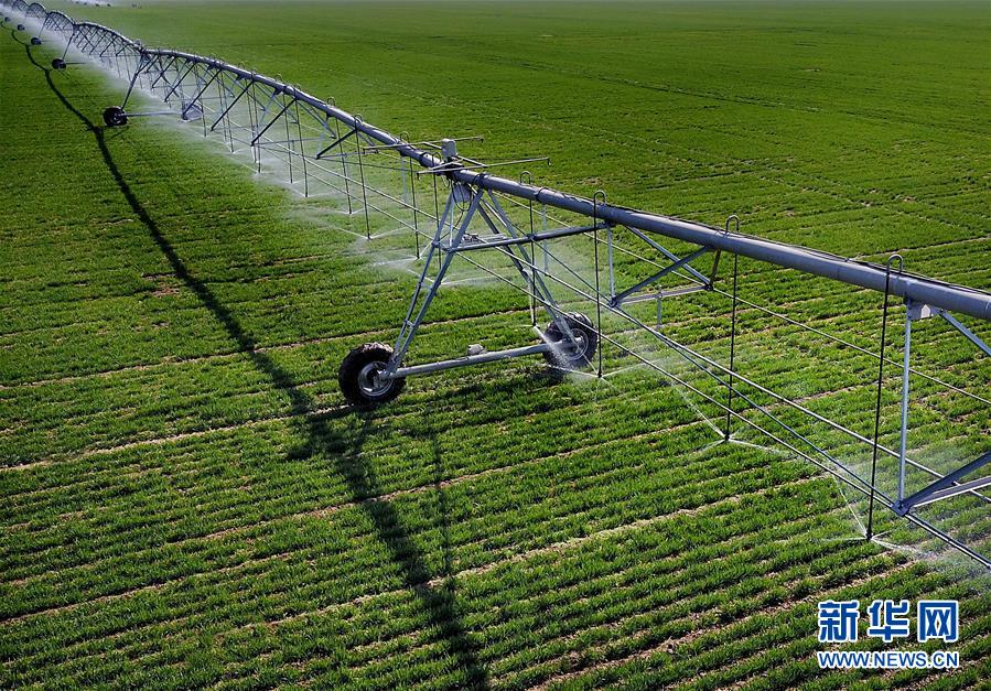 （新華全媒頭條&middot;圖文互動(dòng)）（4）大國糧倉的新時(shí)代交響&mdash;&mdash;河南農(nóng)業(yè)70年觀察