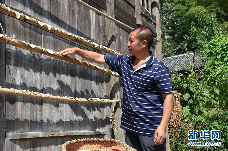 （愛國情 奮斗者&middot;圖文互動(dòng)）（2）貴州印江高石坎護(hù)林隊(duì)：半輩子，以林場為家