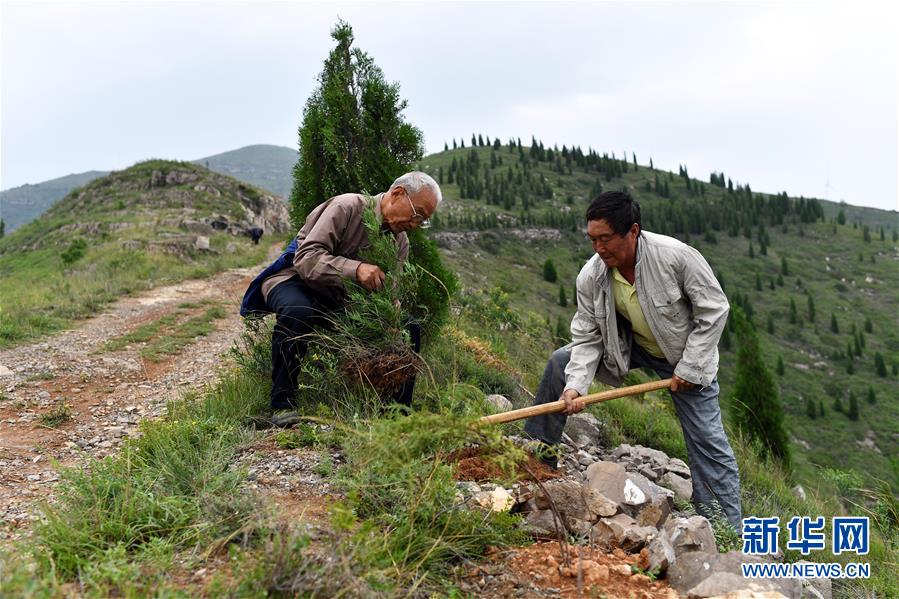 （圖文互動）（2）&ldquo;退休20年，咱就干了這么一件事&rdquo;&mdash;&mdash;記山西水利廳退休干部高文毓的&ldquo;綠山夢&rdquo;