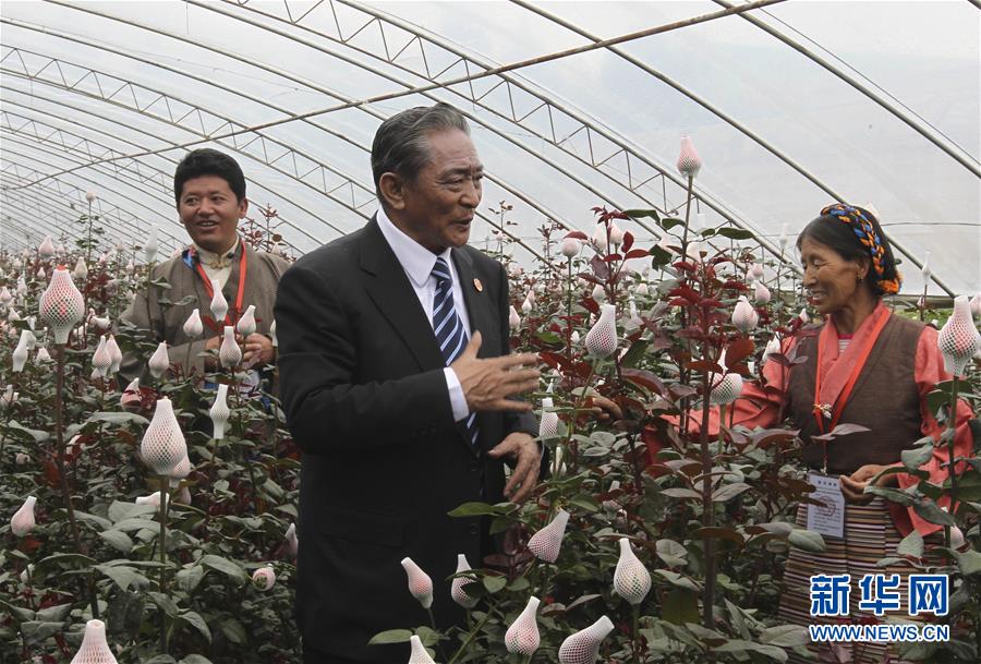 （壯麗70年&middot;奮斗新時代&mdash;&mdash;共和國榮光）（3）民族團結(jié)的楷模&mdash;&mdash;熱地