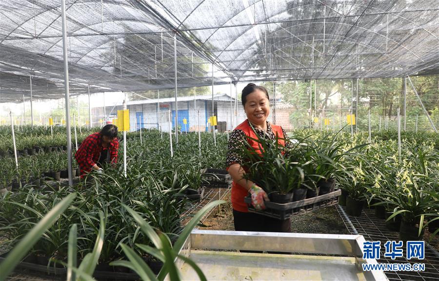 （在習(xí)近平新時(shí)代中國(guó)特色社會(huì)主義思想指引下&mdash;&mdash;新時(shí)代新作為新篇章&middot;總書(shū)記關(guān)心的百姓身邊事&middot;圖文互動(dòng)）（2）&ldquo;科技秀才&rdquo;給田野帶來(lái)新希望