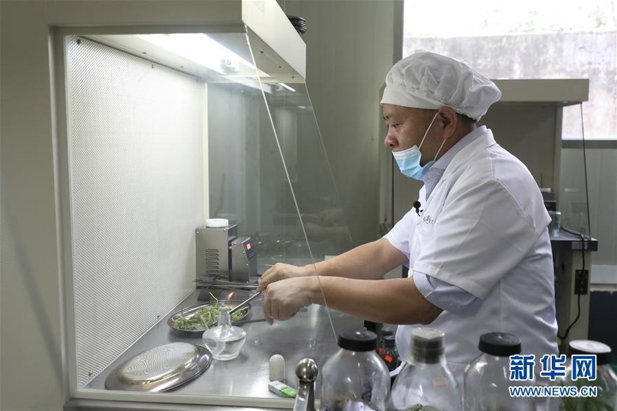 （在習(xí)近平新時(shí)代中國(guó)特色社會(huì)主義思想指引下&mdash;&mdash;新時(shí)代新作為新篇章&middot;總書(shū)記關(guān)心的百姓身邊事&middot;圖文互動(dòng)）（5）&ldquo;科技秀才&rdquo;給田野帶來(lái)新希望