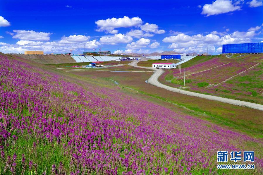 (新華全媒頭條·圖文互動(dòng))(7)綠色的啟示——西部地區(qū)生態(tài)問(wèn)題典型個(gè)案再調(diào)查