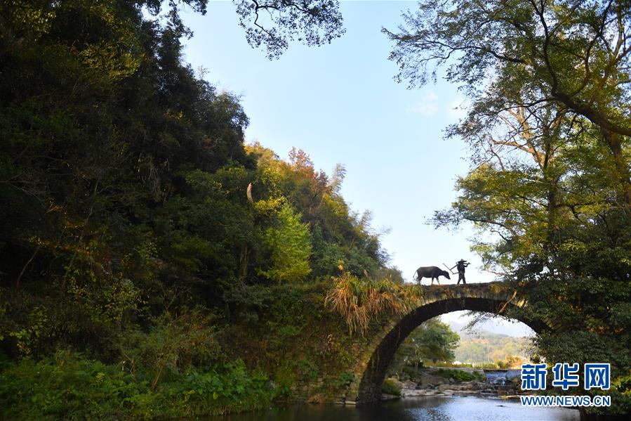 （圖文互動）（3）鄉(xiāng)村攝影師、鄉(xiāng)村&ldquo;模特&rdquo;、民宿店主&mdash;&mdash;鄉(xiāng)村旅游推動婺源農(nóng)民生活方式發(fā)生新變化