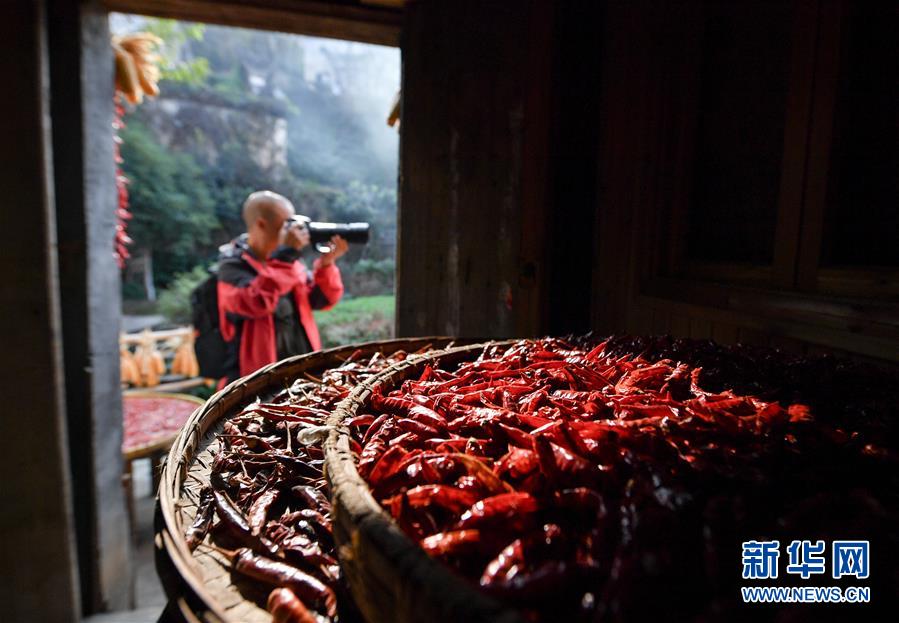 （圖文互動）（6）鄉(xiāng)村攝影師、鄉(xiāng)村&ldquo;模特&rdquo;、民宿店主&mdash;&mdash;鄉(xiāng)村旅游推動婺源農(nóng)民生活方式發(fā)生新變化