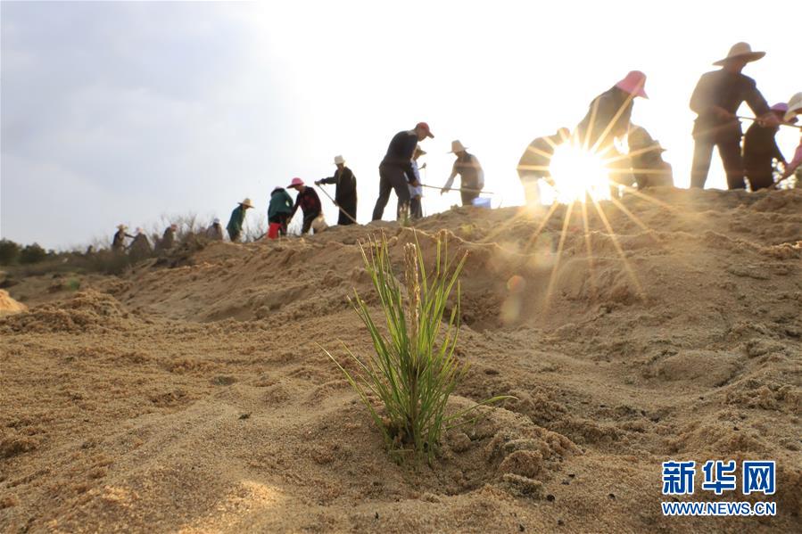 （在習(xí)近平新時代中國特色社會主義思想指引下&mdash;&mdash;新時代新作為新篇章&middot;總書記關(guān)切高質(zhì)量發(fā)展&middot;圖文互動）（4）在藍(lán)天白云下&mdash;&mdash;污染防治攻堅戰(zhàn)持續(xù)推進(jìn)