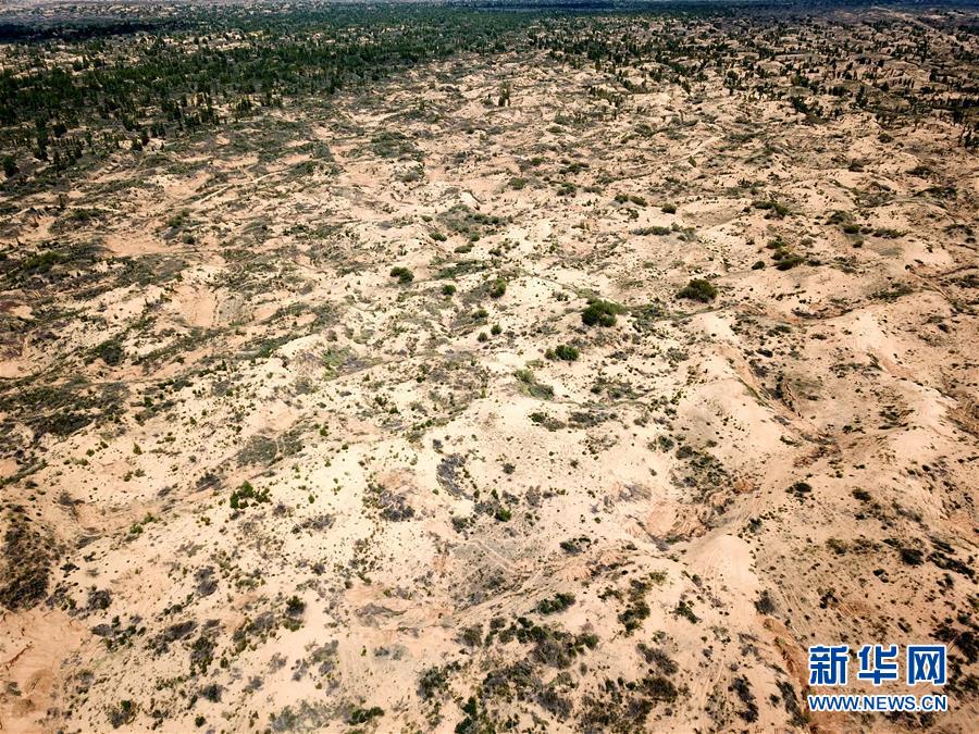 （圖文互動）（2）陜西榆林毀林建光伏電站追蹤：還有哪些疑團(tuán)有待破解？ 