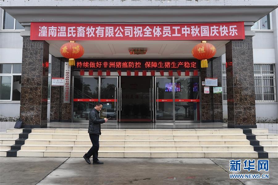 （在習近平新時代中國特色社會主義思想指引下&mdash;&mdash;新時代新作為新篇章&middot;總書記關切高質量發(fā)展&middot;圖文互動）（1）穩(wěn)住&ldquo;一頭豬&rdquo;、供好&ldquo;一袋米&rdquo;、配好&ldquo;一籃菜