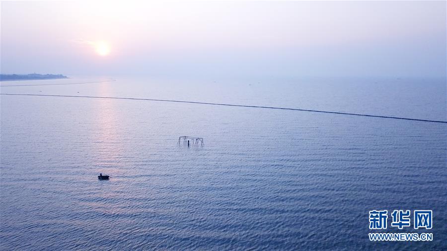 (新華全媒頭條·圖文互動(dòng))(2)大湖見證——長三角三大淡水湖綠色發(fā)展之路