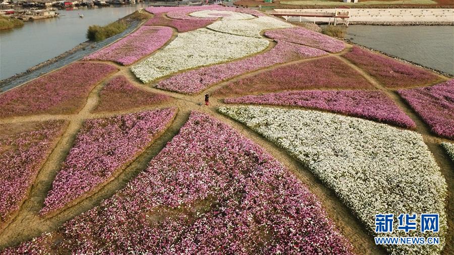 (新華全媒頭條·圖文互動(dòng))(5)大湖見證——長三角三大淡水湖綠色發(fā)展之路