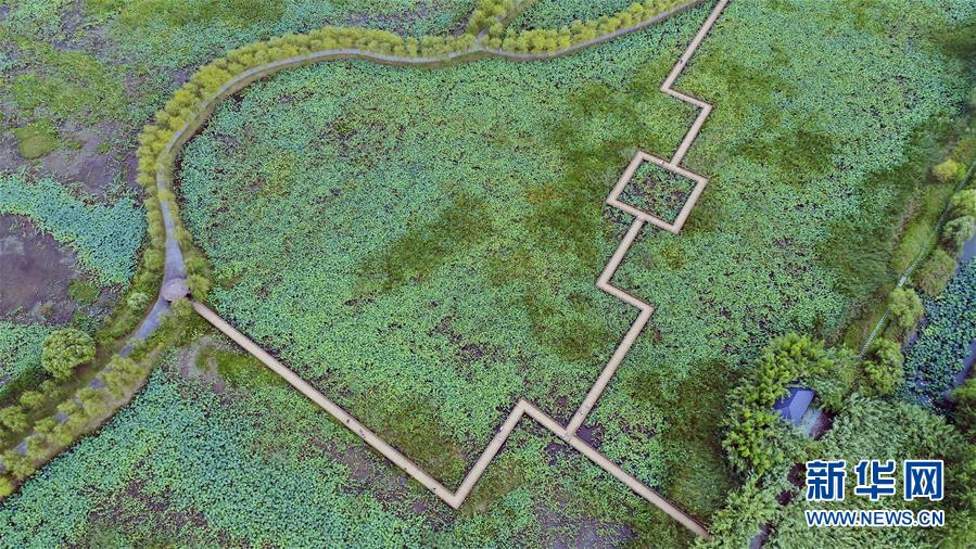 (新華全媒頭條·圖文互動(dòng))(9)大湖見證——長三角三大淡水湖綠色發(fā)展之路