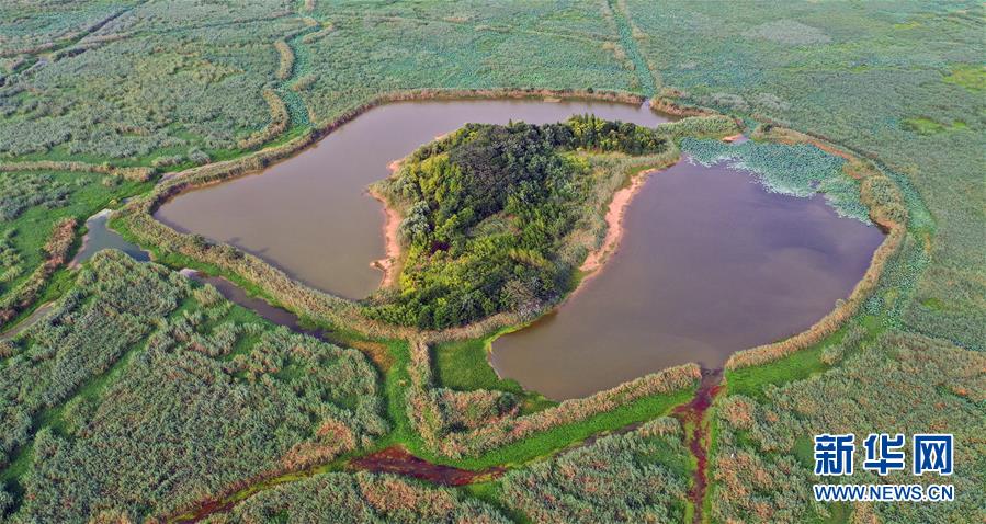 (新華全媒頭條·圖文互動(dòng))(13)大湖見證——長三角三大淡水湖綠色發(fā)展之路