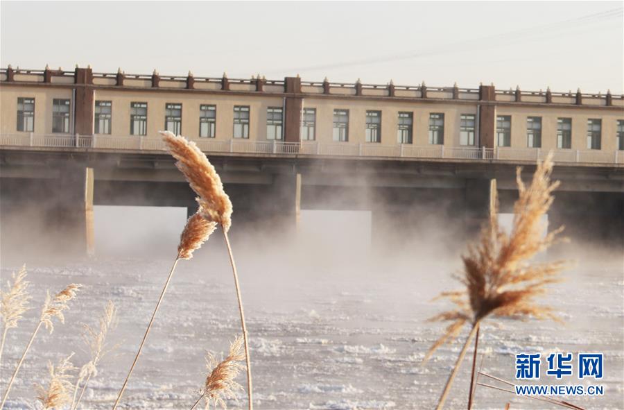 (環(huán)境)(4)黃河三盛公水利樞紐庫區(qū)出現(xiàn)“水煮黃河”景觀