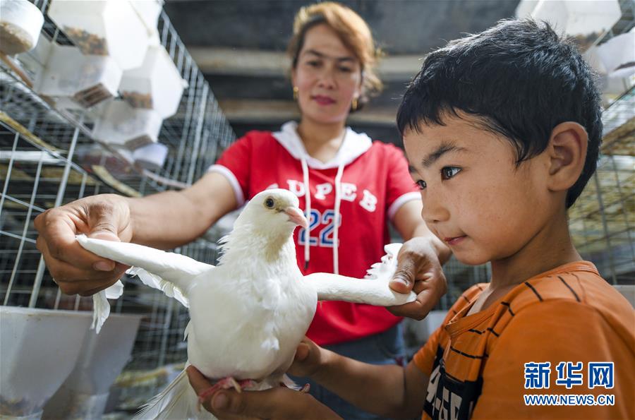（新華全媒頭條&middot;聚焦中國(guó)經(jīng)濟(jì)成績(jī)單&middot;圖文互動(dòng)）（10）為全面建成小康社會(huì)奠定堅(jiān)實(shí)基礎(chǔ)&mdash;&mdash;從2019年數(shù)據(jù)看中國(guó)經(jīng)濟(jì)發(fā)展大勢(shì)